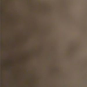 Meet your Posher, Gracie